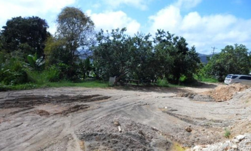 Imagen 2 de 10 de Lizmar Cottua 04122503801 Oripoto Mls #20-16636
