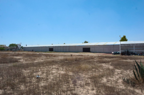 Bodega En Renta Cerca De Platah Carretera México Pachuca