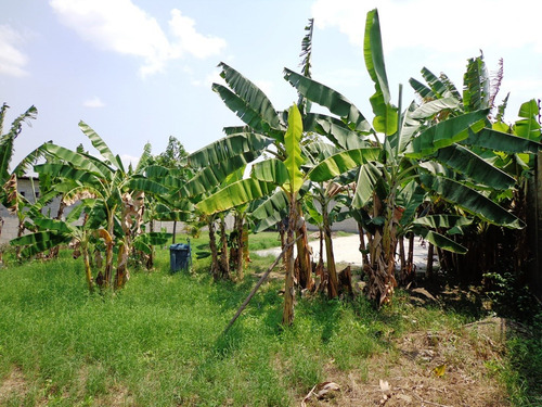 Terreno En El Mayal Cabudare