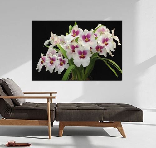 Vinilo Decorativo 60x90cm Orquideas Blancas Y Rosas M7