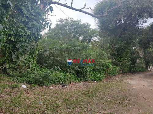 Imagem 7 de 9 de Terreno Multifamiliar Frente A Lagoa - Te0014