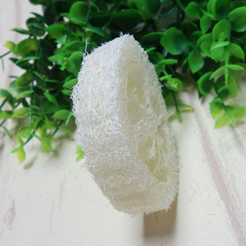 Rebanadas De Orgánica 10 Cortes De Luffa Orgánica Para Jabon