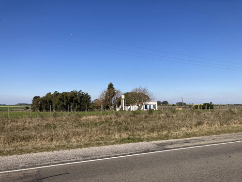 Imagen 15 de 18 de Chacra De 6 Hectáreas Con Vivienda Frente A Ruta 7
