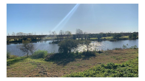 Imagen 13 de 27 de Casa Conteiner A Estrenar De 3 Ambientes Sobre Lote De 3.110 M2 Con 69 Mts De Costa Al Lago