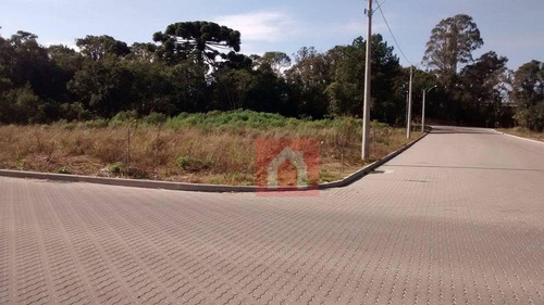 Imagem 3 de 13 de Terreno À Venda, 377 M² Por R$ 142.000,00 - Santa Catarina - Farroupilha/rs - Te0029