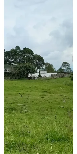 Venta Finca - Lote En Circasia - 6.2 Cuadras