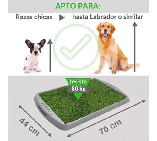 Bandeja Sanitaria Eco Mascotas Perro Cachorro Bulldog40%off