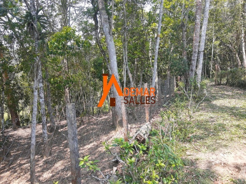 Imagem 21 de 30 de Chacara - Ch00095 - 68699428