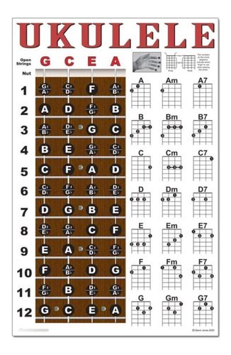 Imagen 2 de 4 de A New Song Music - Diapasón De Ukelele Laminado Y Tabla De.