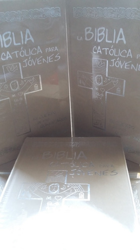 Biblia Catolica Para Jovenes Edicion De Lujo Para 15 Años, De Evd. Editorial Verbo Divino, Tapa Dura, Edición 1 En Español, 2008