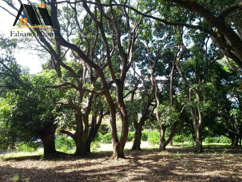 Imagem 14 de 15 de Chácara Para Venda Em Serra Negra, Zona Rural, 7 Dormitórios, 3 Banheiros - 142_1-2438692