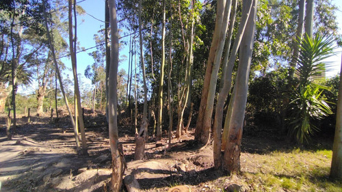 Imagen 7 de 24 de Terreno En Venta En Balneario Buenos Aires