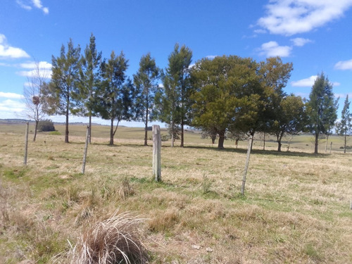Imagen 2 de 10 de 353 Hectáreas En Lavalleja, Con Casa, Galpón Y Arroyo