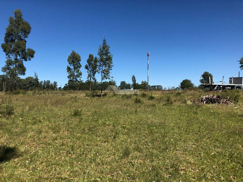 Venta Terreno Manga Camino El Cordero 36980m2 A Mts. Camino Pedro De Mendoza E Instrucciones