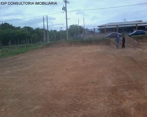Imagem 4 de 7 de Terreno - Te02655 - 34888977