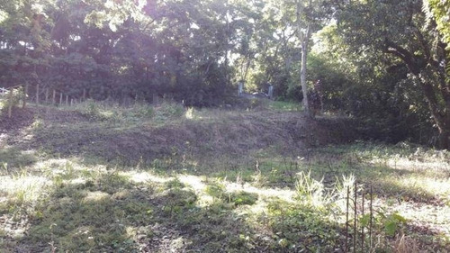Imagem 7 de 14 de Área À Venda, 2700 M² Por R$ 300.000 - Jardim Santo Antônio Da Boa Vista - Jacareí/sp - Ar0013