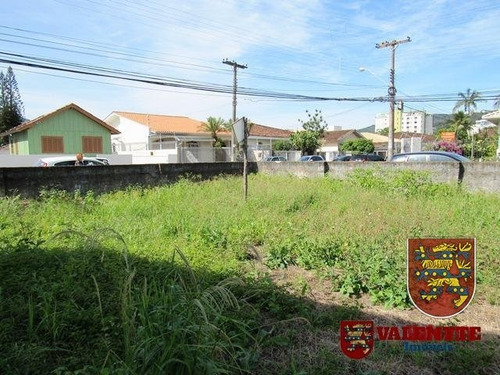 Imagem 2 de 14 de Terreno - Trindade - Ref: 761 - V-761