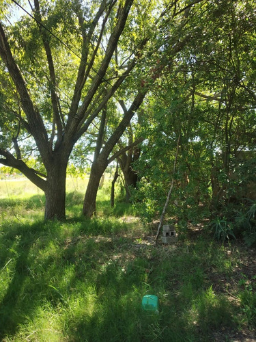 Vendo Chacrita Con Casa A Reciclar Lindos Árboles Antiguos!!