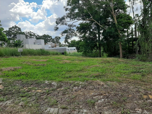 Imagem 2 de 5 de Terreno À Venda, 450 M² Por R$ 310.000,00 - Jardim Festugato - Foz Do Iguaçu/pr - Te0403