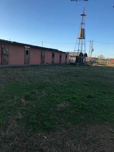 Imagen 1 de 14 de Lote Permuto Vendo Casa Con 8 Caballerizas Y Molino