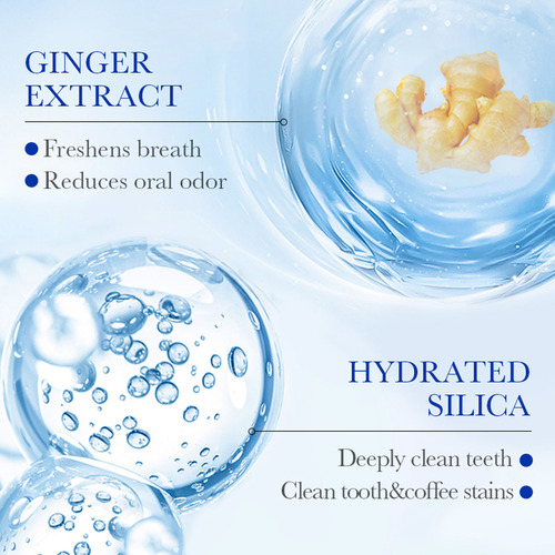 Pasta De Dientes Ginger Mint Clean Mint Pasta De Dientes Cle