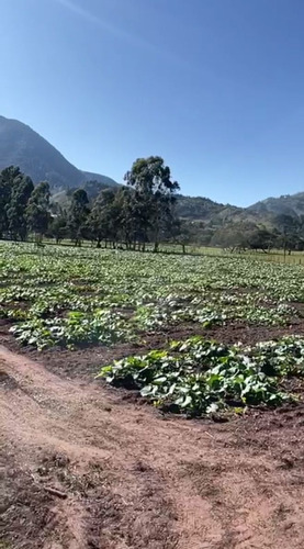 Terreno En Oxapampa Tiene Un Área 23621 Metros Cuadrados