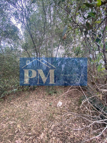Amplio Terreno En Venta, Tapalqué