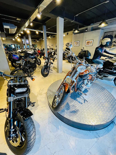 Imagen 15 de 18 de Harley Davidson, Sportster, Iron, 883, Street Bob, Fat Boy