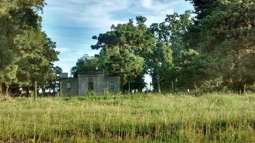 Imagen 4 de 9 de Campo En Gral. Madariaga