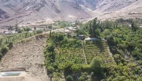Terreno En Valle Del Elqui 5.000m2 Con 500 Árboles Frutales