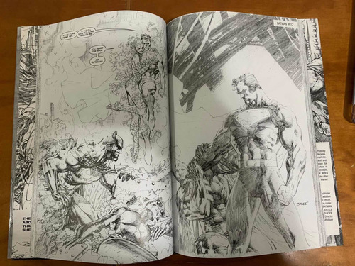 Batman 608 Second Print Jim Lee Lote (Usado)