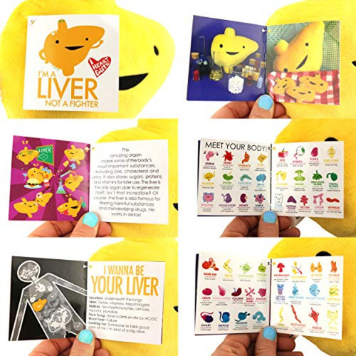 I Heart Guts Liver Plush - I'm A Liver Not A Fighter - Jugue