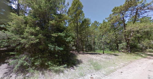 Imagen 2 de 5 de Terreno En Venta Cariló