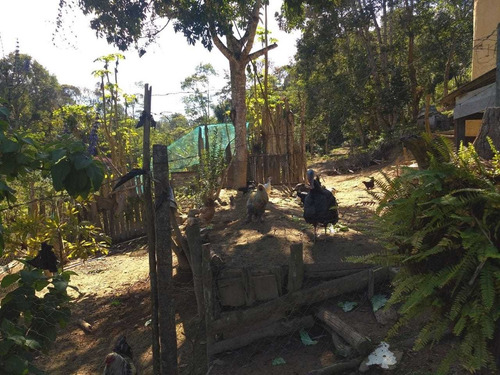 Imagem 9 de 14 de Chácara Em Juquitiba Barnabé