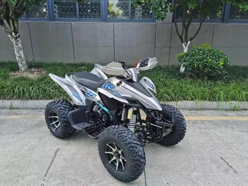 Imagen 9 de 21 de Cuatrimoto Predator 250cc Deportiva Mecanica 16hp. 0 Kl 2023