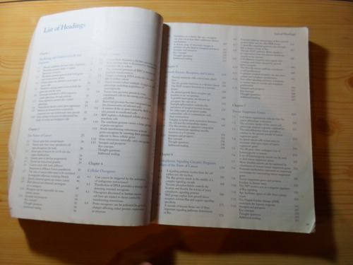 The Biology Of Cancer - Robert A Weinberg
