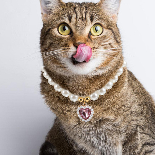 Coleira Bead Dog: Colar De Pérolas Para Cães E Gatos -