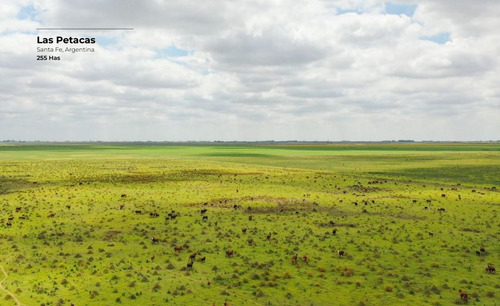 Campo De 255 Hectáreas En Las Petacas, Santa Fe