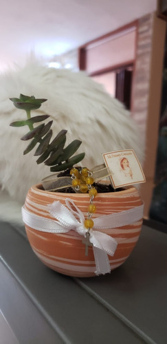 Imagen 4 de 6 de Recuerdos: Bautizos, Comunión, Matrimonios Suculentas Shawer