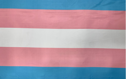 Tela Bandera Trans Trangénero Orgullo Diversidad Por Metro
