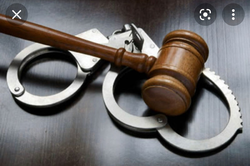Diccionario De Derecho Penal Y Criminologia/