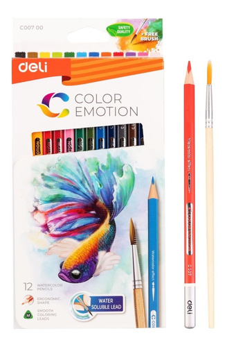 Set Lapices Colores Acuarelable Pro 12 Colores Arte Y Dibujo