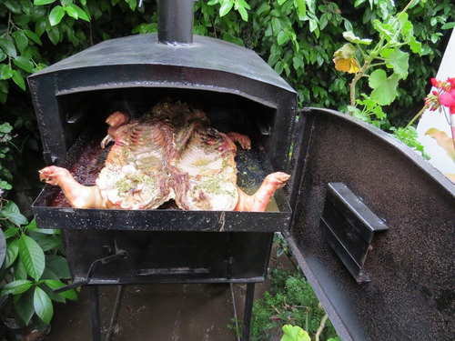 Imagen 6 de 7 de Horno A Leña Calor Envolvente Bandeja Enlozada 75 Cm X 60cm