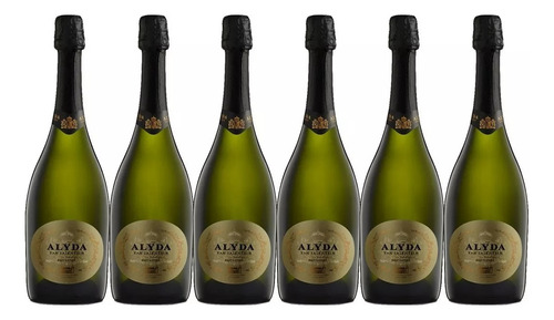 Champagne Alyda Van Salentein B- N 750ml X6