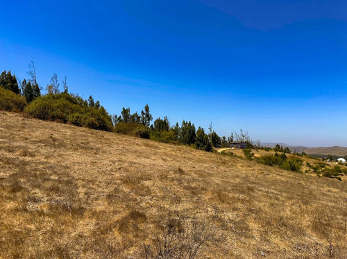 Se Vende Parcela En Sector Los Laureles Limache