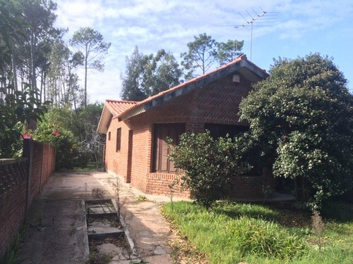 Imagen 16 de 16 de Dos Casas Independientes En Un Mismo Padrón