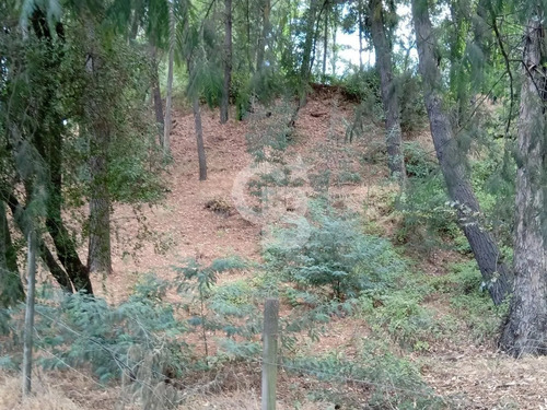 Parcela En Venta  Quillón, Sector Manque Sur