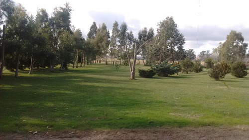 Imagen 9 de 26 de Latorre Prop Vende Casa Quinta 3 Amb , 8600 M2 De Parque