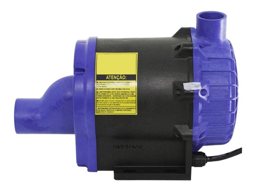 Imagem 2 de 5 de Aquecedor Banheira Sinapse 5000w 220v Com Moto Bomba 1/2 Cv