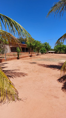 Sítio Com 2 Casas, Água, Internet E Energia - Manga-mg - Ideal Para Lazer Ou Criação